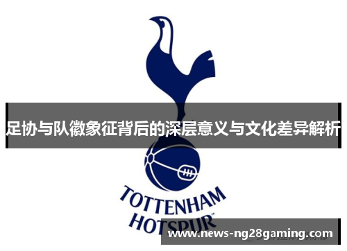 足协与队徽象征背后的深层意义与文化差异解析