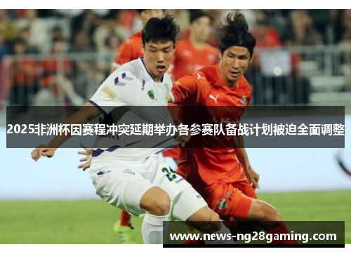 2025非洲杯因赛程冲突延期举办各参赛队备战计划被迫全面调整 2025非洲杯因赛程冲突延期举办各参赛队备战计划被迫全面调整