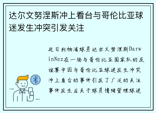 达尔文努涅斯冲上看台与哥伦比亚球迷发生冲突引发关注 达尔文努涅斯冲上看台与哥伦比亚球迷发生冲突引发关注